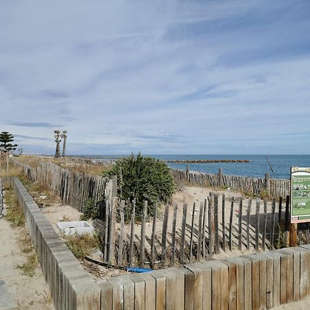 Appartement Refait A Neuf, Climatise Avec Vue Mer Et Montagne, Avec Place De Parking Privative Saint-Cyprien  Extérieur photo