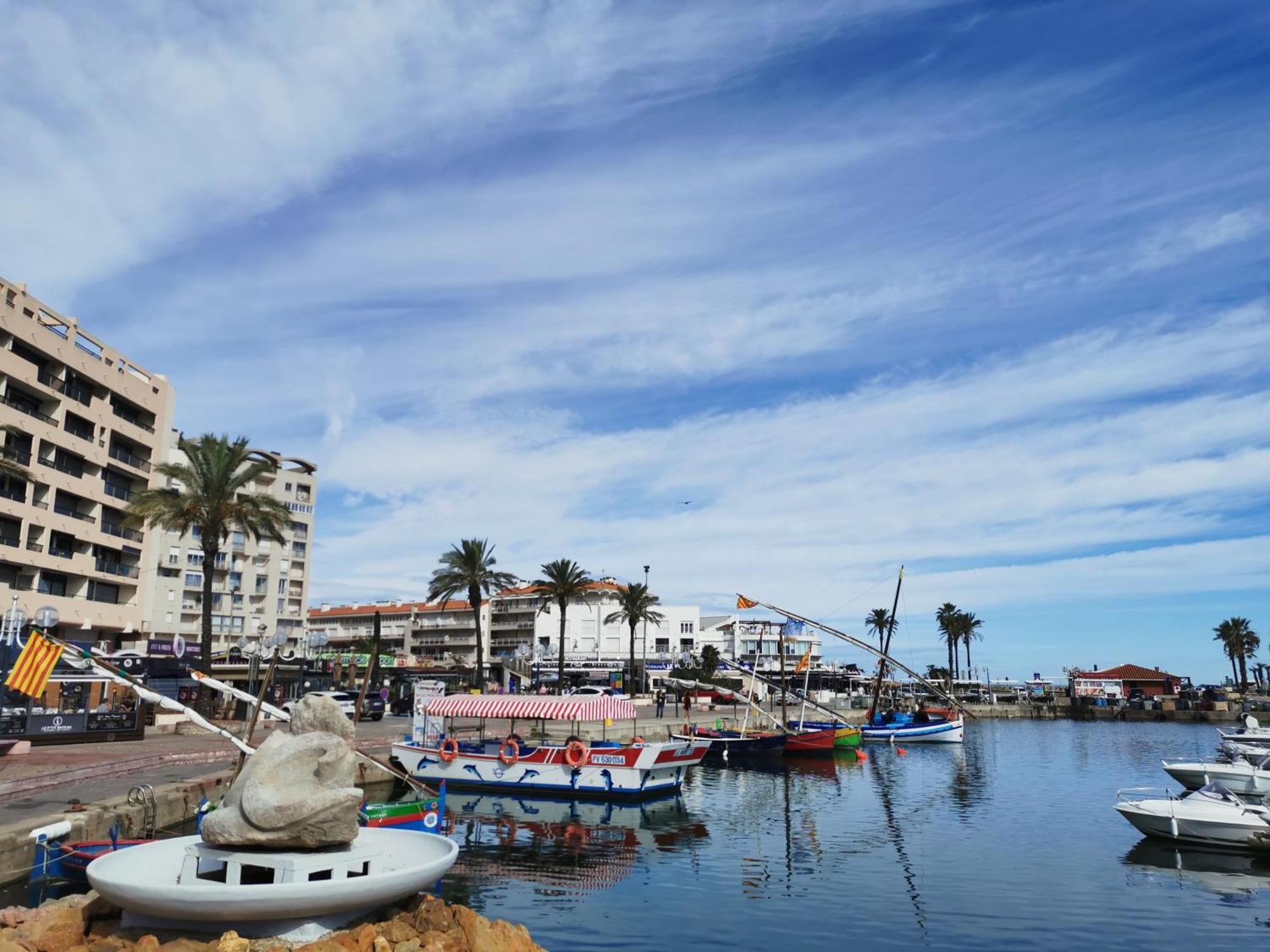Appartement Refait A Neuf, Climatise Avec Vue Mer Et Montagne, Avec Place De Parking Privative Saint-Cyprien  Extérieur photo