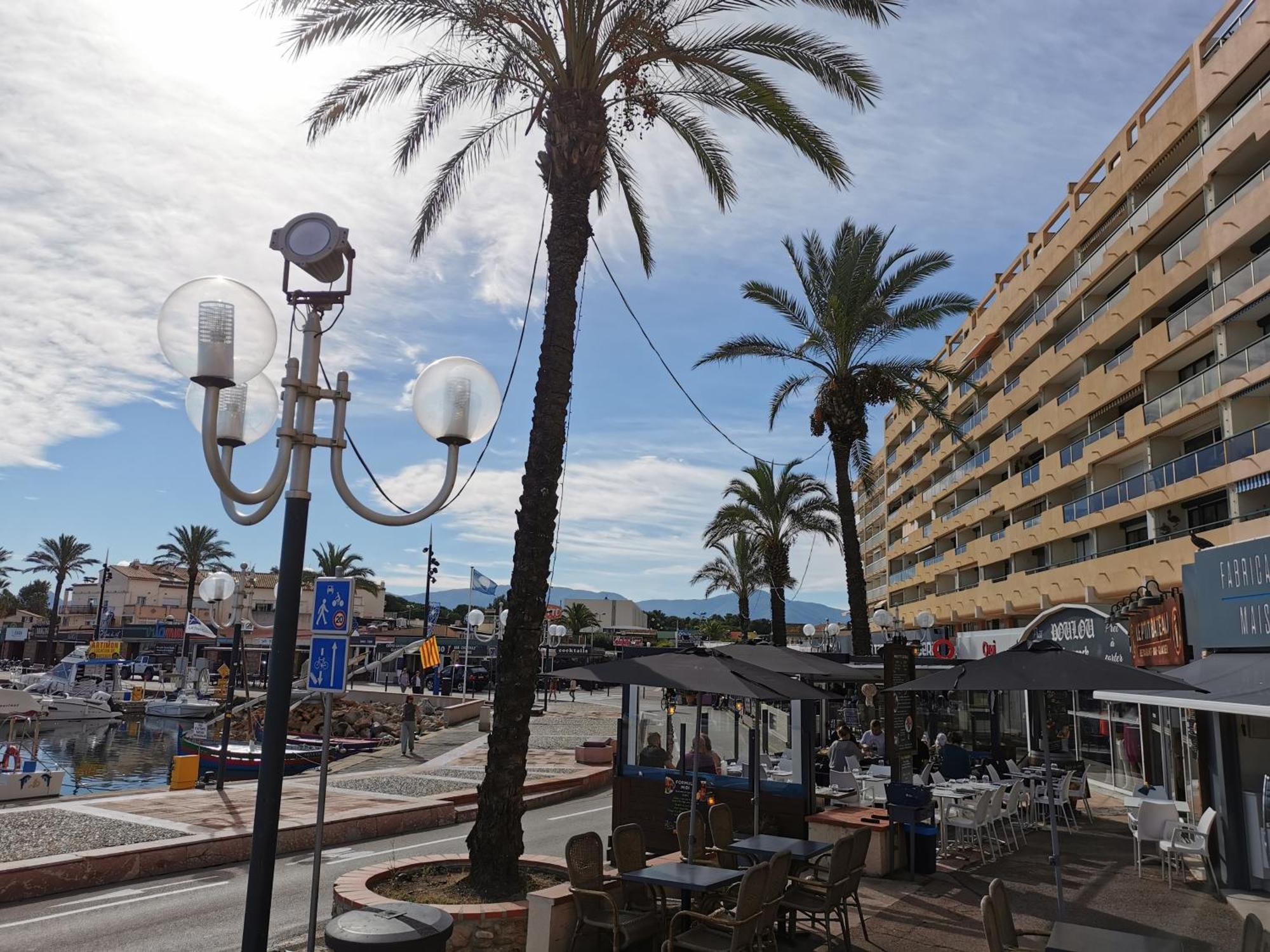 Appartement Refait A Neuf, Climatise Avec Vue Mer Et Montagne, Avec Place De Parking Privative Saint-Cyprien  Extérieur photo