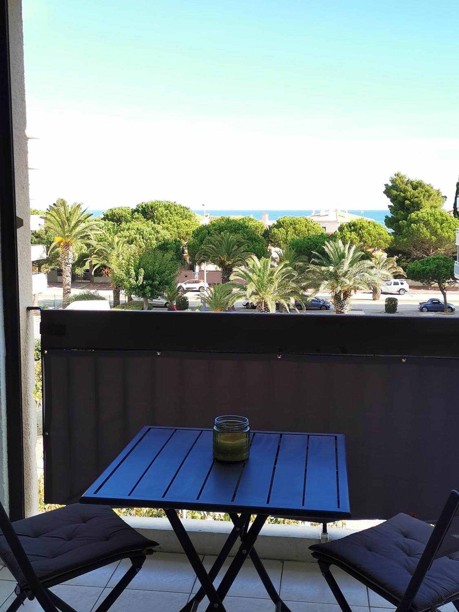 Appartement Refait A Neuf, Climatise Avec Vue Mer Et Montagne, Avec Place De Parking Privative Saint-Cyprien  Extérieur photo